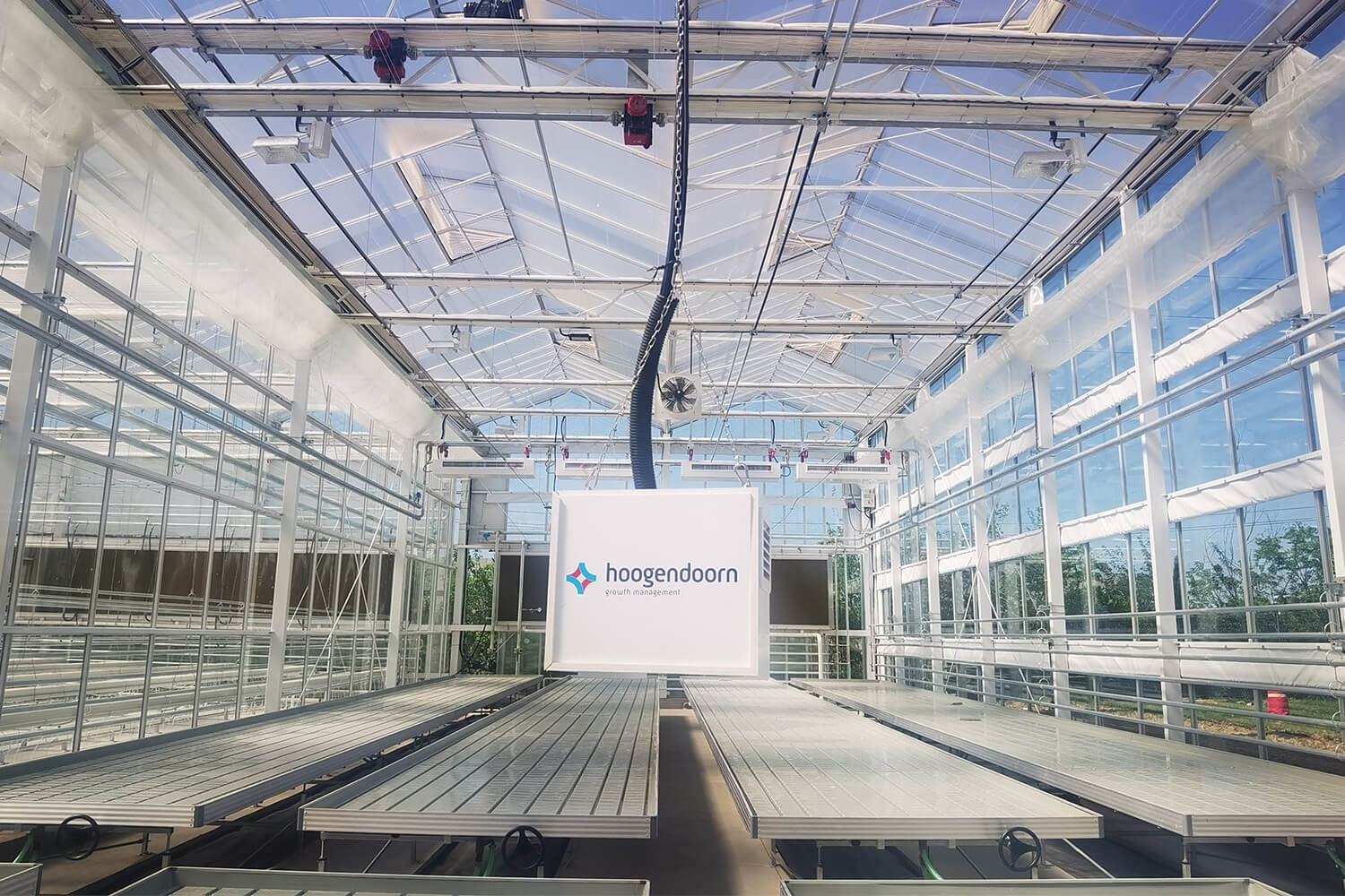 inner greenhouse.jpg