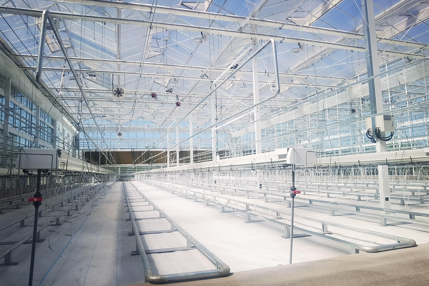 inner greenhouse1.jpg