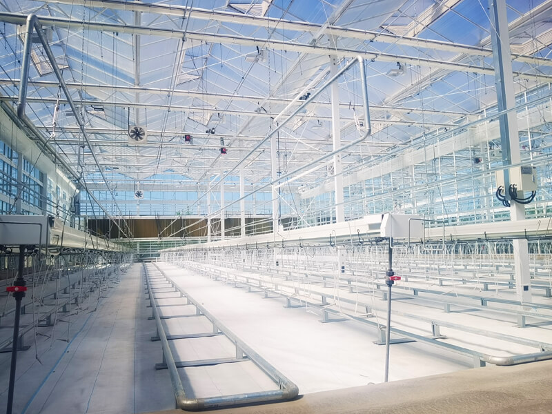 1774234125681436.jpg UPuper® rock wool R&D greenhouse equipped with Hoogendoorn IVVO Compact system.jpg
