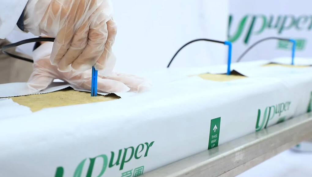 1774254899818938.jpg growing slabs.jpg