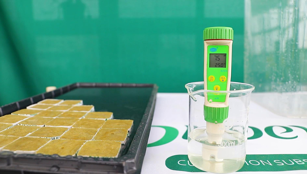 1774254946141264.jpg adjust pH.jpg